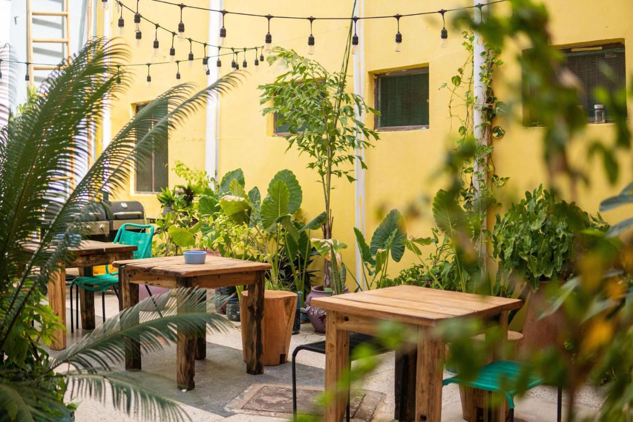 Tarawanda House -Thrivestawi Bed and Breakfast Zanzibar Exteriör bild
